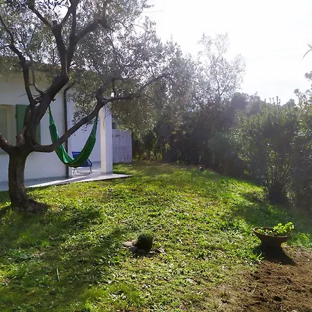 Casa Corbezzolo 프로키오