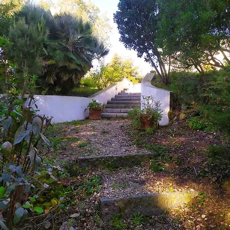 Casa Corbezzolo Bed & Breakfast Procchio (Isola d'Elba)