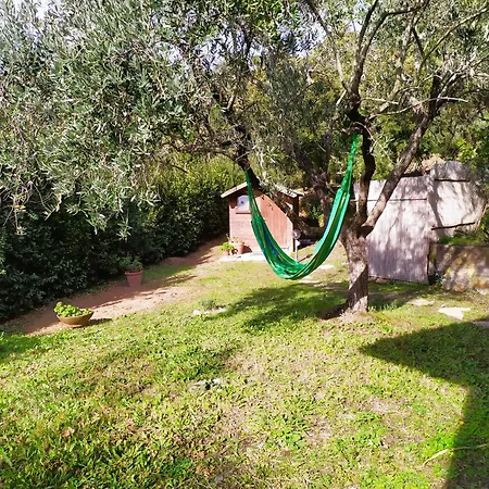 Casa Corbezzolo بروكيو